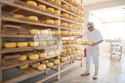 Image of Cheese maker at the storage with shelves full of cow and goat cheese