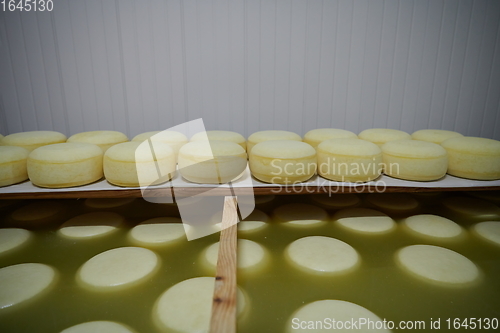 Image of Cheese factory production shelves with aging old cheese