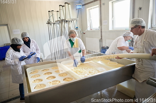 Image of Workers preparing raw milk for cheese production