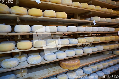 Image of Cheese factory production shelves with aging old cheese