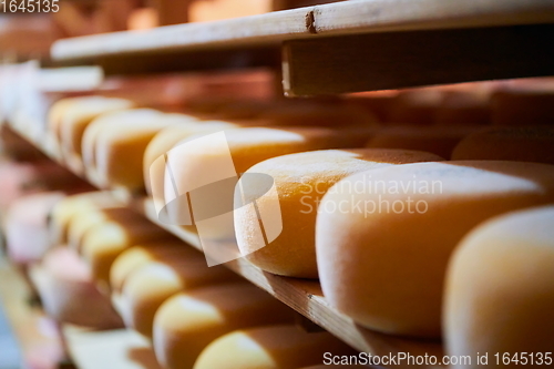 Image of Cheese factory production shelves with aging old cheese