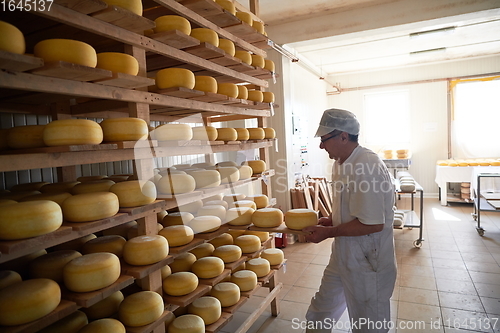 Image of Cheese maker at the storage with shelves full of cow and goat cheese