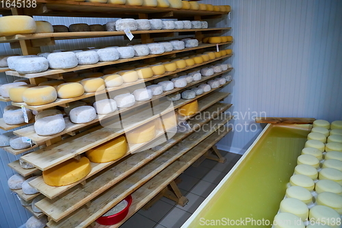 Image of Cheese factory production shelves with aging old cheese