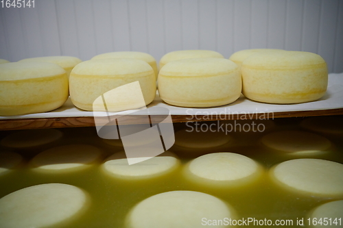 Image of Cheese factory production shelves with aging old cheese