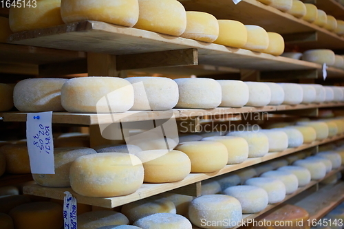 Image of Cheese factory production shelves with aging old cheese