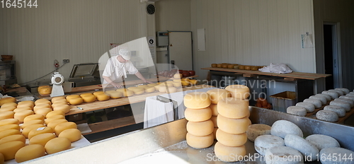 Image of Cheese maker at local production factory