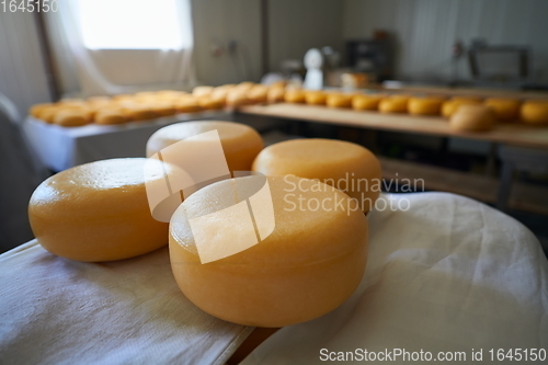 Image of Cheese factory production shelves with aging old cheese