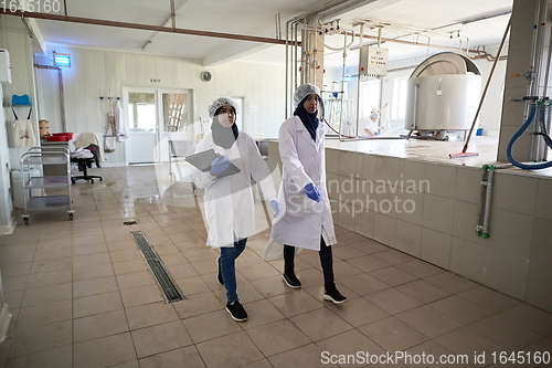 Image of business woman team in local cheese production company