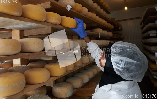 Image of African black muslim business woman in local cheese production company