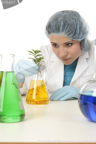 Image of Scientist with plant in research lab