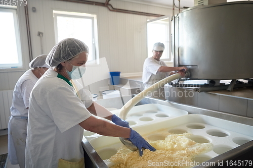 Image of Workers preparing raw milk for cheese production