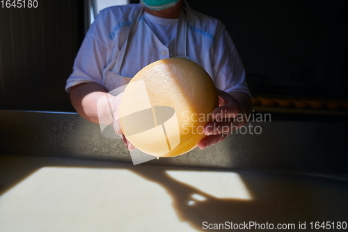 Image of Workers preparing raw milk for cheese production