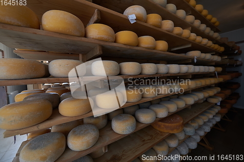 Image of Cheese factory production shelves with aging old cheese