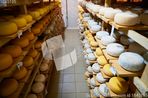 Image of Cheese factory production shelves with aging old cheese