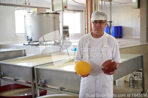 Image of Cheese production cheesemaker working in factory