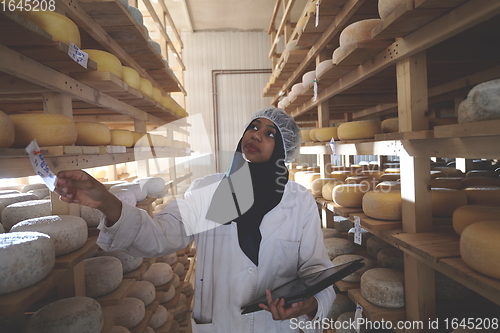 Image of African black muslim business woman in local cheese production company