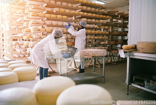 Image of business woman team in local cheese production company