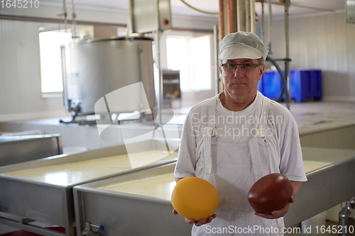 Image of Cheese production cheesemaker working in factory