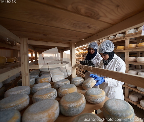 Image of business woman team in local cheese production company