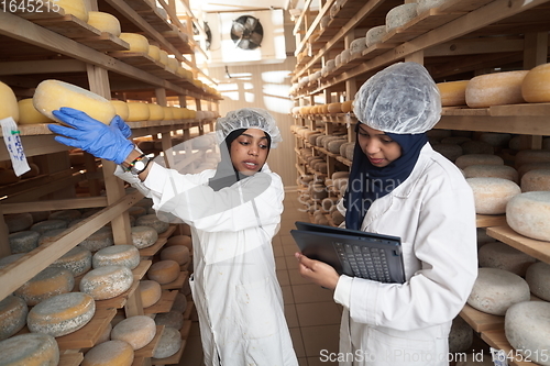 Image of business woman team in local cheese production company