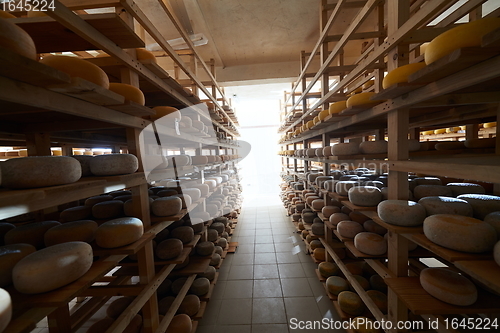 Image of Cheese factory production shelves with aging old cheese