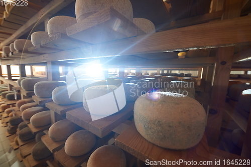 Image of Cheese factory production shelves with aging old cheese