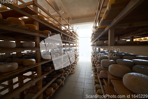 Image of Cheese factory production shelves with aging old cheese