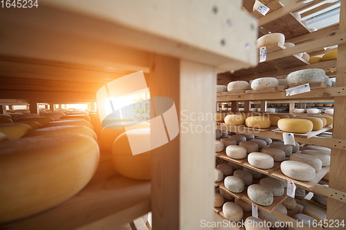 Image of Cheese factory production shelves with aging old cheese