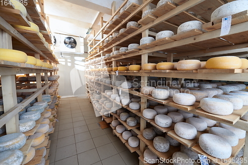 Image of Cheese factory production shelves with aging old cheese