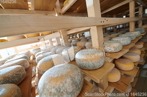 Image of Cheese factory production shelves with aging old cheese