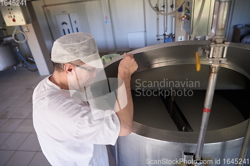 Image of Cheese production cheesemaker working in factory