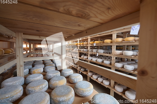 Image of Cheese factory production shelves with aging old cheese