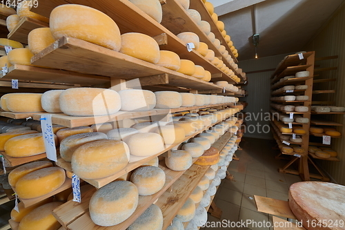 Image of Cheese factory production shelves with aging old cheese