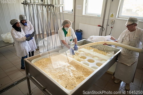 Image of Workers preparing raw milk for cheese production