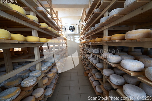 Image of Cheese factory production shelves with aging old cheese