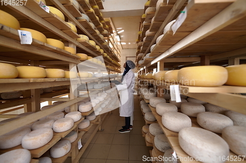 Image of African black muslim business woman in local cheese production company