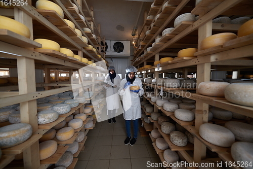 Image of business woman team in local cheese production company