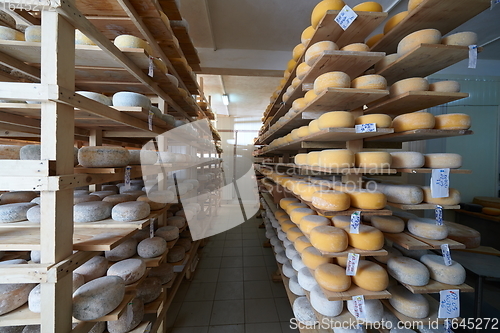 Image of Cheese factory production shelves with aging old cheese