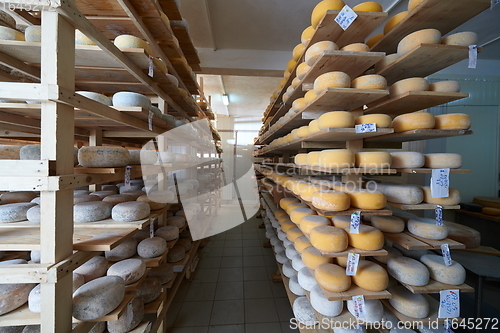 Image of Cheese factory production shelves with aging old cheese