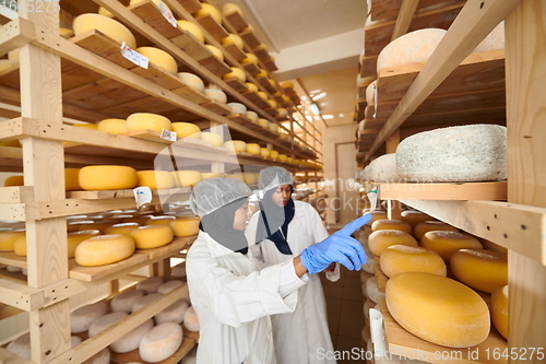 Image of business woman team in local cheese production company