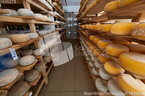 Image of Cheese factory production shelves with aging old cheese