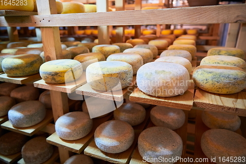 Image of Cheese factory production shelves with aging old cheese