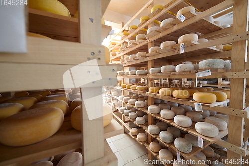 Image of Cheese factory production shelves with aging old cheese