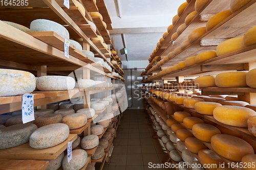 Image of Cheese factory production shelves with aging old cheese