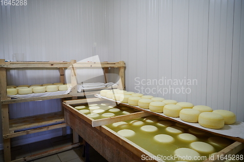 Image of Cheese factory production shelves with aging old cheese