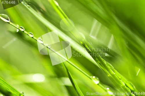 Image of Green grass background