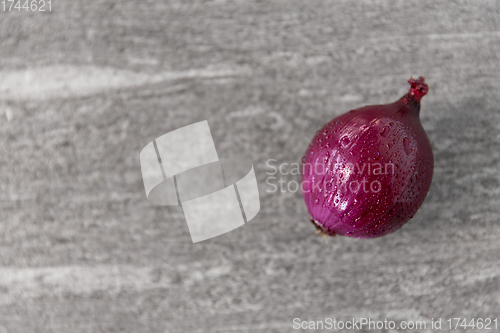 Image of red onion on wet slate stone background