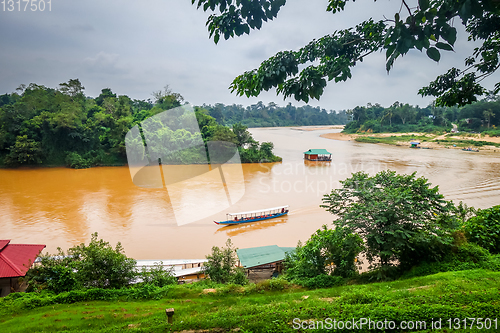 Image of River and jungle in Taman Negara national park, Malaysia