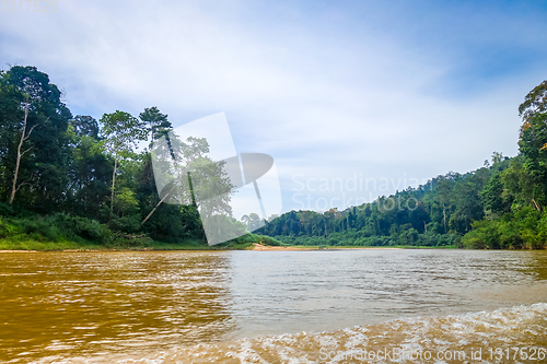 Image of River and jungle in Taman Negara national park, Malaysia