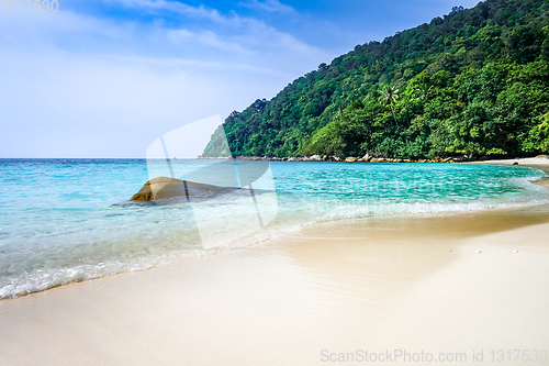 Image of Turtle Beach, Perhentian Islands, Terengganu, Malaysia